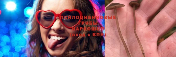 мдма Новодвинск