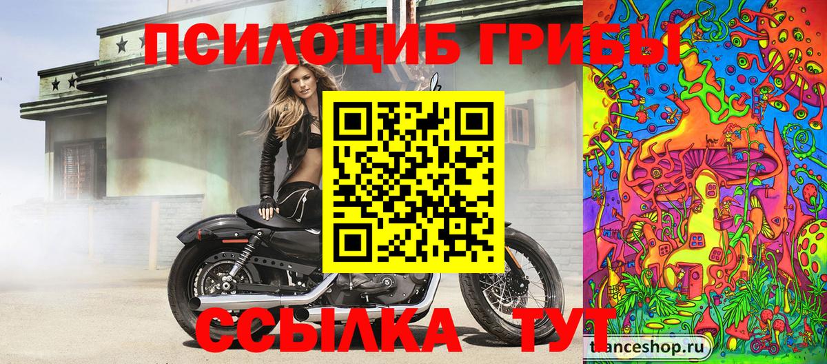 Галлюциногенные грибы Magic Shrooms  продажа наркотиков  Галлюциногенные грибы GOLDEN TEACHER  Мегион 